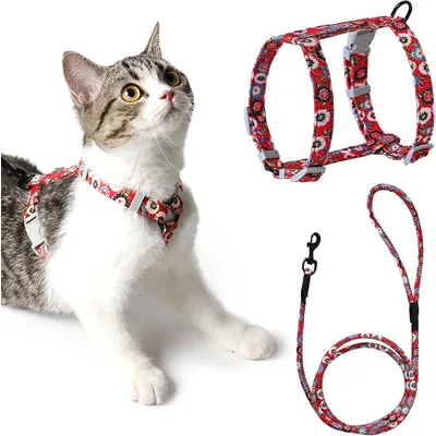 HausPets Harnais+Laisse chat S rouge 145cm