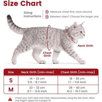 HausPets Arnés y correa para gato, talla S, rojo, 145 cm