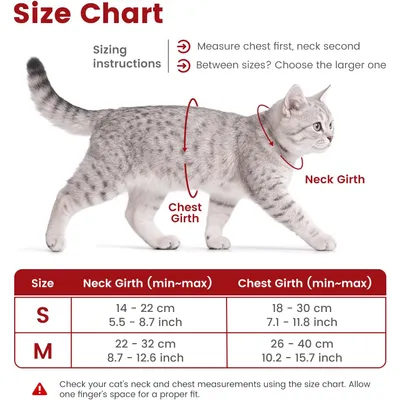 HausPets Harnais+Laisse chat S rouge 145cm