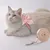 HausPets Harnais+Laisse petit animal gris/rose S