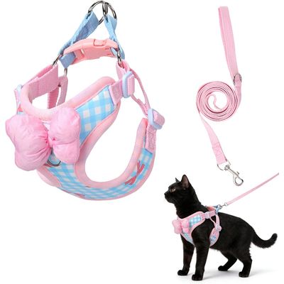 HausPets Laisse coton cerisier 1,5m fermoir or