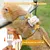 HausPets Rouleau collant joli anti-peluches famille