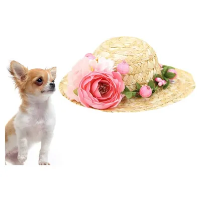 HausPets Strohhut Hund Katze Rosa Blume