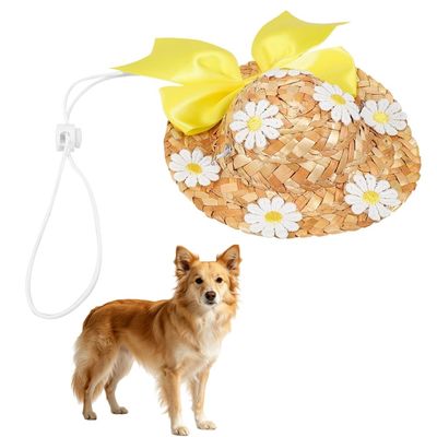 HausPets Lot de 3 Chapeaux Paille Chien Chat Jaune