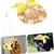 HausPets 3er Set Strohhut Hund Katze Gelb HausPets 3er Set Strohhut Hund Katze Gelb