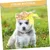 HausPets 3er Set Strohhut Hund Katze Gelb HausPets 3er Set Strohhut Hund Katze Gelb