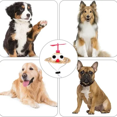 HausPets 2er Set Verstellbare Gewebte Hüte für Hund Katze Niedlich