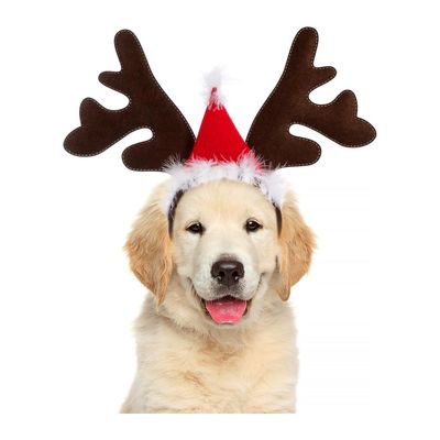 HausPets Lot de 3 Bandeaux Renne Noël Chien Chat Rouge Café