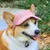 HausPets Hund Baseball Cap - UV-Schutz, Verstellbar, Ohrenlöcher HausPets Hund Baseball Cap - UV-Schutz, Verstellbar, Ohrenlöcher