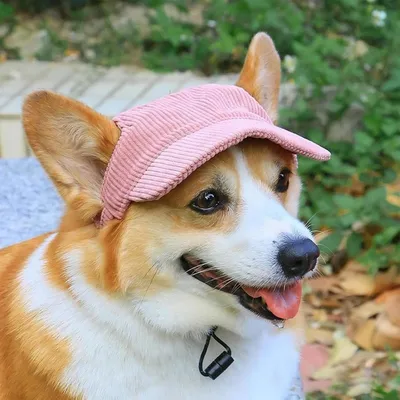 HausPets Hund Baseball Cap - UV-Schutz, Verstellbar, Ohrenlöcher HausPets Hund Baseball Cap - UV-Schutz, Verstellbar, Ohrenlöcher