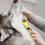 Brosse Chats, Poils Animaux,Toilettage Enlever 96% des les Brosse Chats, Poils Animaux,Toilettage Enlever 96% des les