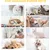 Brosse Chats, Poils Animaux,Toilettage Enlever 96% des les Brosse Chats, Poils Animaux,Toilettage Enlever 96% des les
