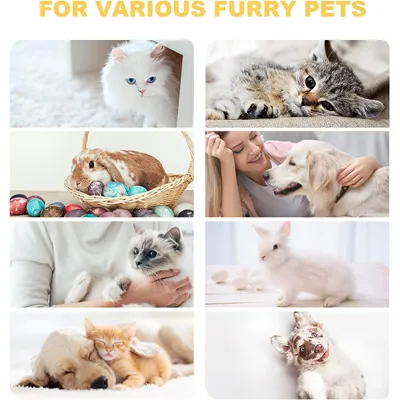 Brosse Chats, Poils Animaux,Toilettage Enlever 96% des les Brosse Chats, Poils Animaux,Toilettage Enlever 96% des les