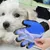 HausPets Gant de Brossage et Massage Respirant avec Peigne pour Animaux HausPets Gant de Brossage et Massage Respirant avec Peigne pour Animaux