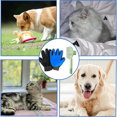 HausPets Gant de Brossage et Massage Respirant avec Peigne pour Animaux HausPets Gant de Brossage et Massage Respirant avec Peigne pour Animaux