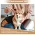 Brosse bois outil toilettage chiens, chats enlever la saleté lâche animaux Brosse bois outil toilettage chiens, chats enlever la saleté lâche animaux