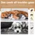 Brosse bois outil toilettage chiens, chats enlever la saleté lâche animaux Brosse bois outil toilettage chiens, chats enlever la saleté lâche animaux