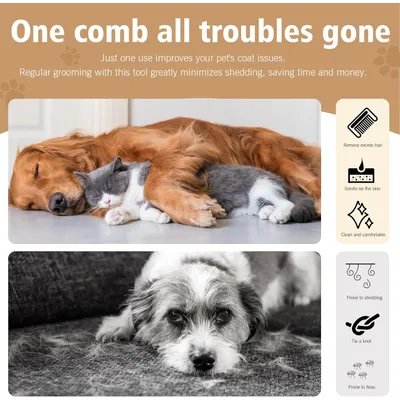 Brosse bois outil toilettage chiens, chats enlever la saleté lâche animaux Brosse bois outil toilettage chiens, chats enlever la saleté lâche animaux