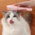 HausPets Brosse Auto-nettoyante avec Sac de Rangement pour Animaux HausPets Brosse Auto-nettoyante avec Sac de Rangement pour Animaux