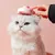 HausPets Brosse Auto-nettoyante avec Sac de Rangement pour Animaux HausPets Brosse Auto-nettoyante avec Sac de Rangement pour Animaux