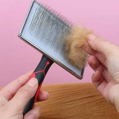 Brosse outil toilettage inoxydable chiens chats enlever les poils lâches, Brosse outil toilettage inoxydable chiens chats enlever les poils lâches,