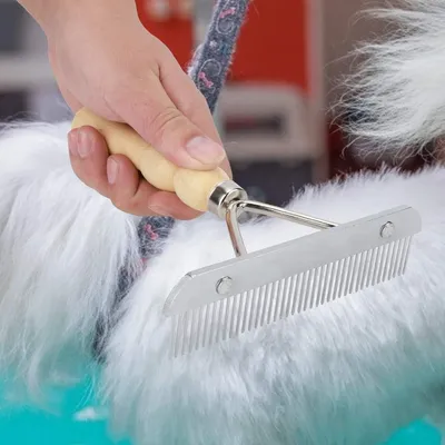 bois toilettage Épilation toilettage animal compagnie Peigne chien Poignée bois toilettage Épilation toilettage animal compagnie Peigne chien Poignée