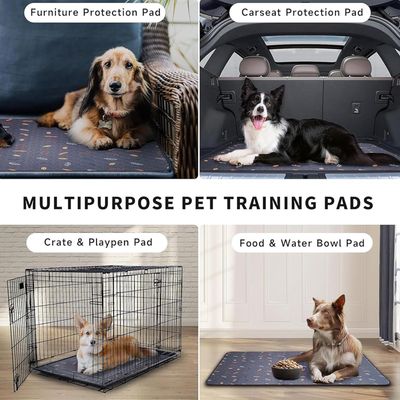 Feuille bac litière cage chat - Anti-odeur, barrière humidité