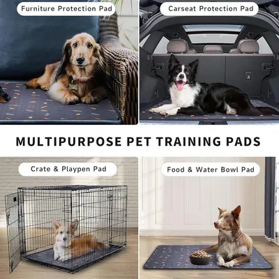 Katzentoiletten-Einlage für Käfig - geruchshemmend, Feuchtigkeitssperre Katzentoiletten-Einlage für Käfig - geruchshemmend, Feuchtigkeitssperre