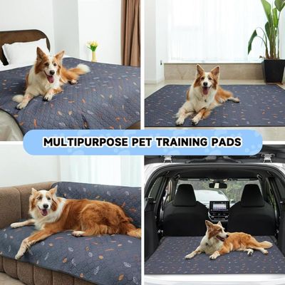Feuille bac litière cage chat - Anti-odeur, barrière humidité