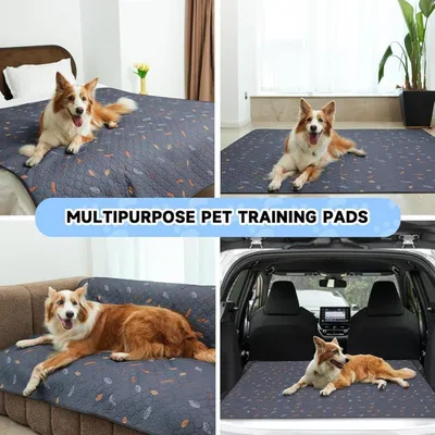 Katzentoiletten-Einlage für Käfig - geruchshemmend, Feuchtigkeitssperre Katzentoiletten-Einlage für Käfig - geruchshemmend, Feuchtigkeitssperre