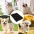 (identique au 18) → Tapis litière 60x45 cm double couche anti-glisse (identique au 18) → Tapis litière 60x45 cm double couche anti-glisse