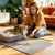 Tapis litière 60x45 cm double couche - Anti-glisse, absorbant Tapis litière 60x45 cm double couche - Anti-glisse, absorbant