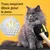 HausPets Gants anti-poils électrostatiques pour animaux de compagnie HausPets Gants anti-poils électrostatiques pour animaux de compagnie
