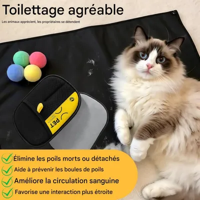 HausPets Gants anti-poils électrostatiques pour animaux de compagnie HausPets Gants anti-poils électrostatiques pour animaux de compagnie