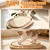 Planche gratter + piste balle sisal, jouet 2 en 1, 4 boules bois Planche gratter + piste balle sisal, jouet 2 en 1, 4 boules bois