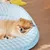 HausPets Tapis Rafraîchissant pour Animaux - Matelas Portable Lavable