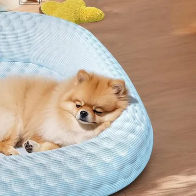 HausPets Tapis Rafraîchissant pour Animaux - Matelas Portable Lavable