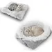 HausPets 2in1 Katzen-Hundebett, Waschbares Plüschkissen Grau 60x50cm