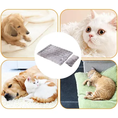HausPets Tapis de Repos en Peluche pour Chien et Chat HausPets Tapis de Repos en Peluche pour Chien et Chat