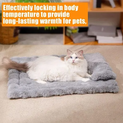 HausPets Tapis de Repos en Peluche pour Chien et Chat HausPets Tapis de Repos en Peluche pour Chien et Chat
