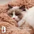 HausPets Panier Chat Chien Rond Peluche Anti-Stress Donut Lavable Café S