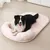 HausPets Tapis Rafraîchissant pour Chien et Chat HausPets Tapis Rafraîchissant pour Chien et Chat