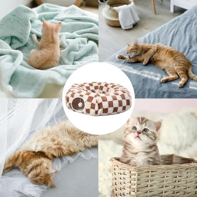 HausPets Tunnel Bed pour Chat - Maison Pliable avec Coussin HausPets Tunnel Bed pour Chat - Maison Pliable avec Coussin
