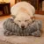 HausPets Coussin Apaisant Lavable Chien Chat - Oreiller Multi-Usage HausPets Coussin Apaisant Lavable Chien Chat - Oreiller Multi-Usage