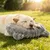 HausPets Coussin Apaisant Lavable Chien Chat - Oreiller Multi-Usage HausPets Coussin Apaisant Lavable Chien Chat - Oreiller Multi-Usage