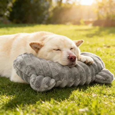 HausPets Coussin Apaisant Lavable Chien Chat - Oreiller Multi-Usage HausPets Coussin Apaisant Lavable Chien Chat - Oreiller Multi-Usage