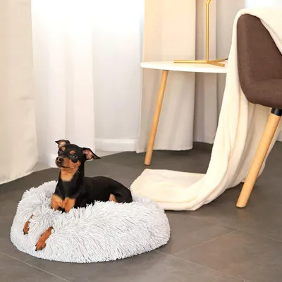 HausPets Lit Donut Moelleux pour Chat et Chien, Coussin Antidérapant Gris HausPets Lit Donut Moelleux pour Chat et Chien, Coussin Antidérapant Gris