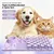 HausPets Leckmatte für Hunde und Katzen Lila HausPets Leckmatte für Hunde und Katzen Lila