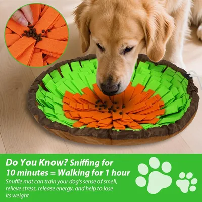 FurryFusion Suchmatte für Hunde FurryFusion Suchmatte für Hunde