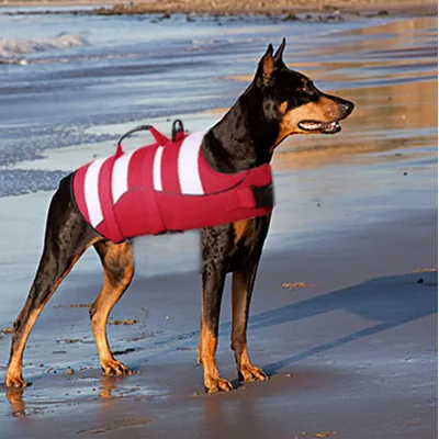 HausPets Chaleco salvavidas ajustable para perros asa suave, rojo, talla M HausPets Chaleco salvavidas ajustable para perros asa suave, rojo, talla M